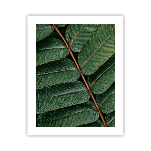 Poster - In een groen ritme - 40x50 cm