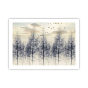 Poster - Bosgeesten - 70x50 cm