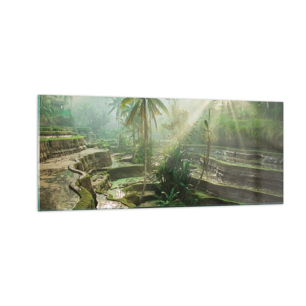 Schilderen op glas - Opgroeien in de zon - 100x40 cm