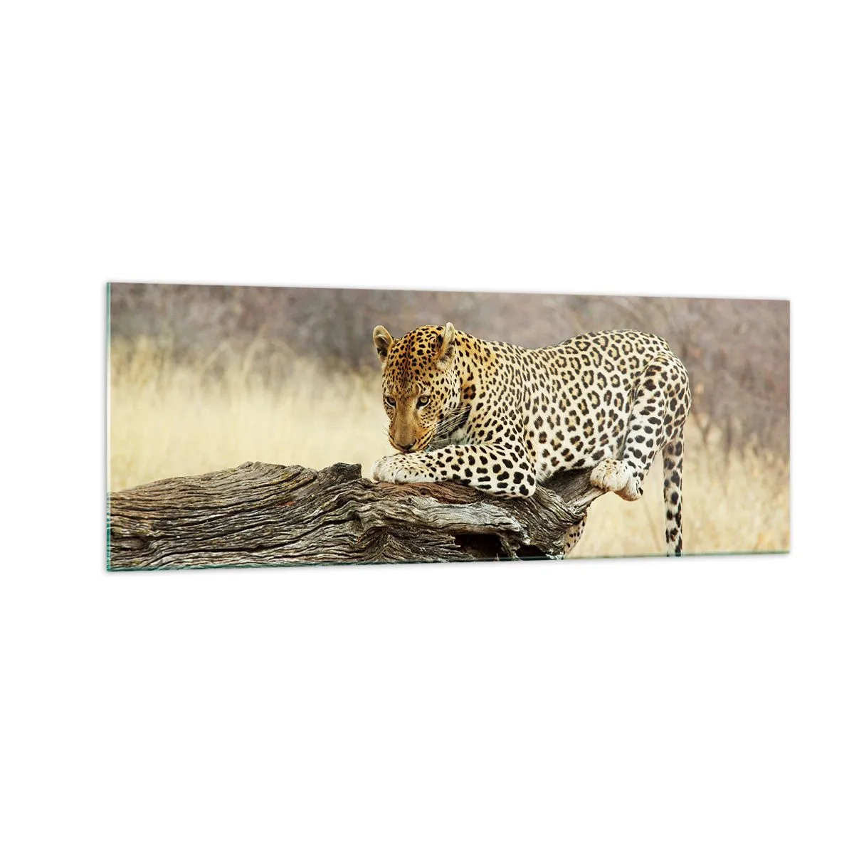 Schilderen op glas - Ik ga mijn eigen weg - 140x50 cm