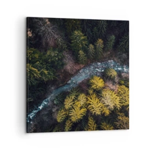 Schilderen op canvas - Snel, sneller en sneller - 50x50 cm