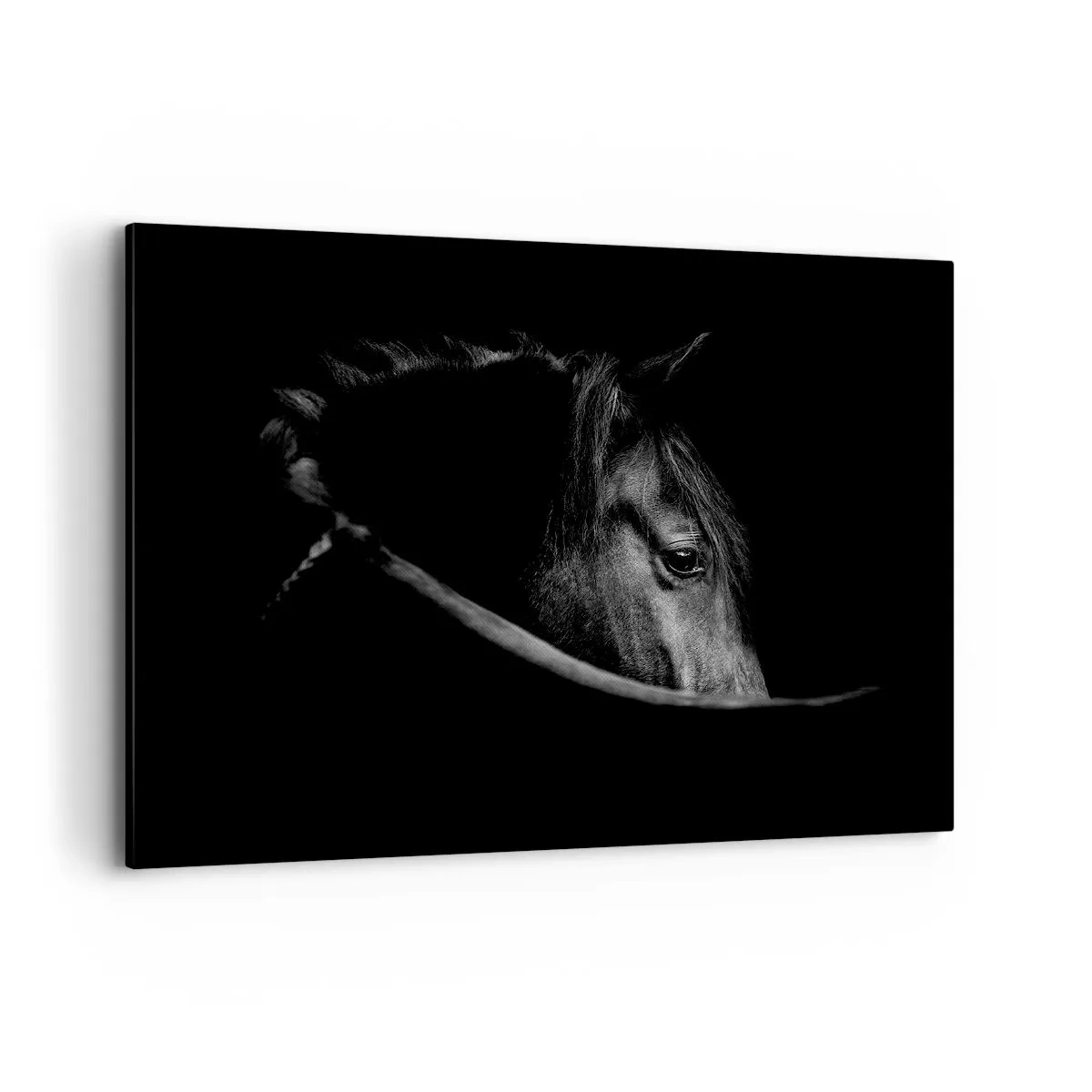 Schilderen op canvas - Zwarte Prins - 100x70 cm