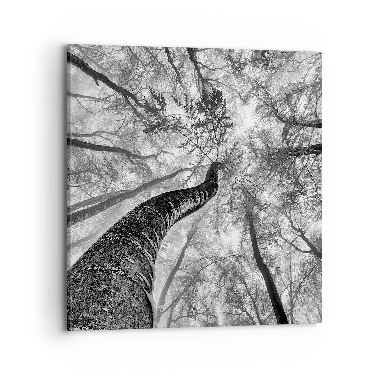 Schilderen op canvas - Race naar het licht - 70x70 cm