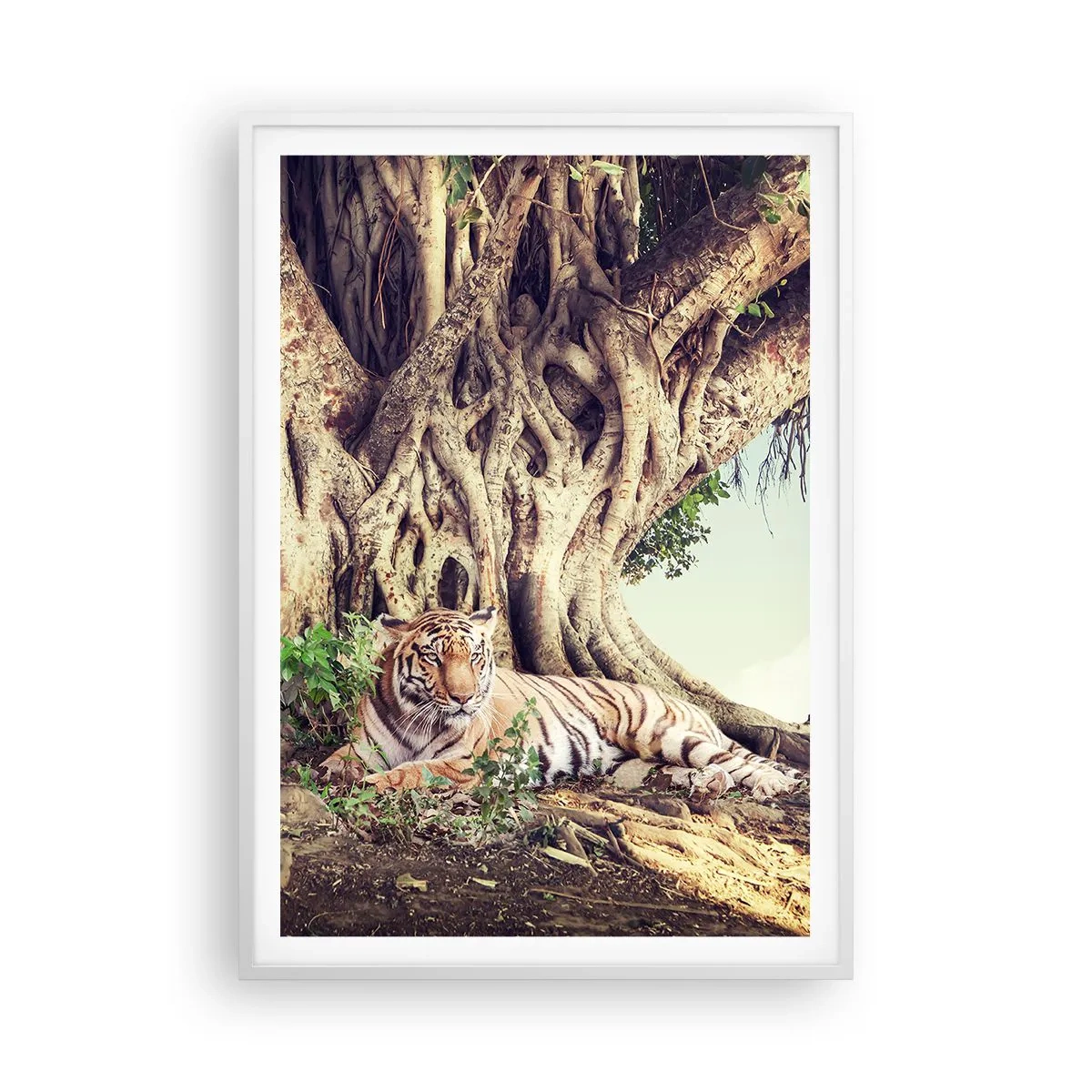 Poster in een witte lijst - Uitzicht vanuit het boek Genesis - 70x100 cm