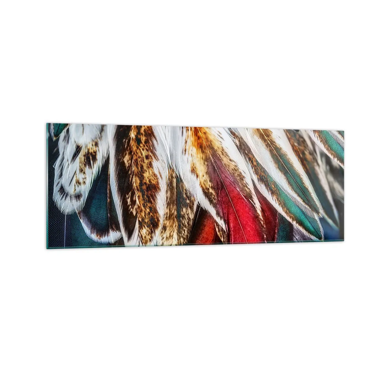 Schilderen op glas - Geheimen van de vlucht - 140x50 cm
