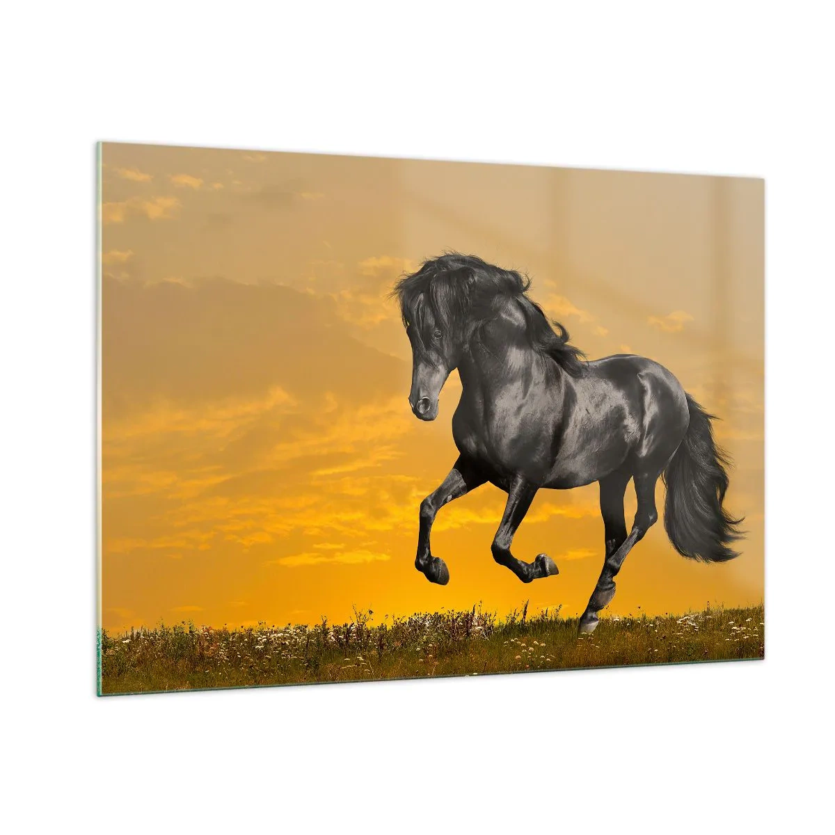 Schilderen op glas - Mooi, vrij en wild - 100x70 cm