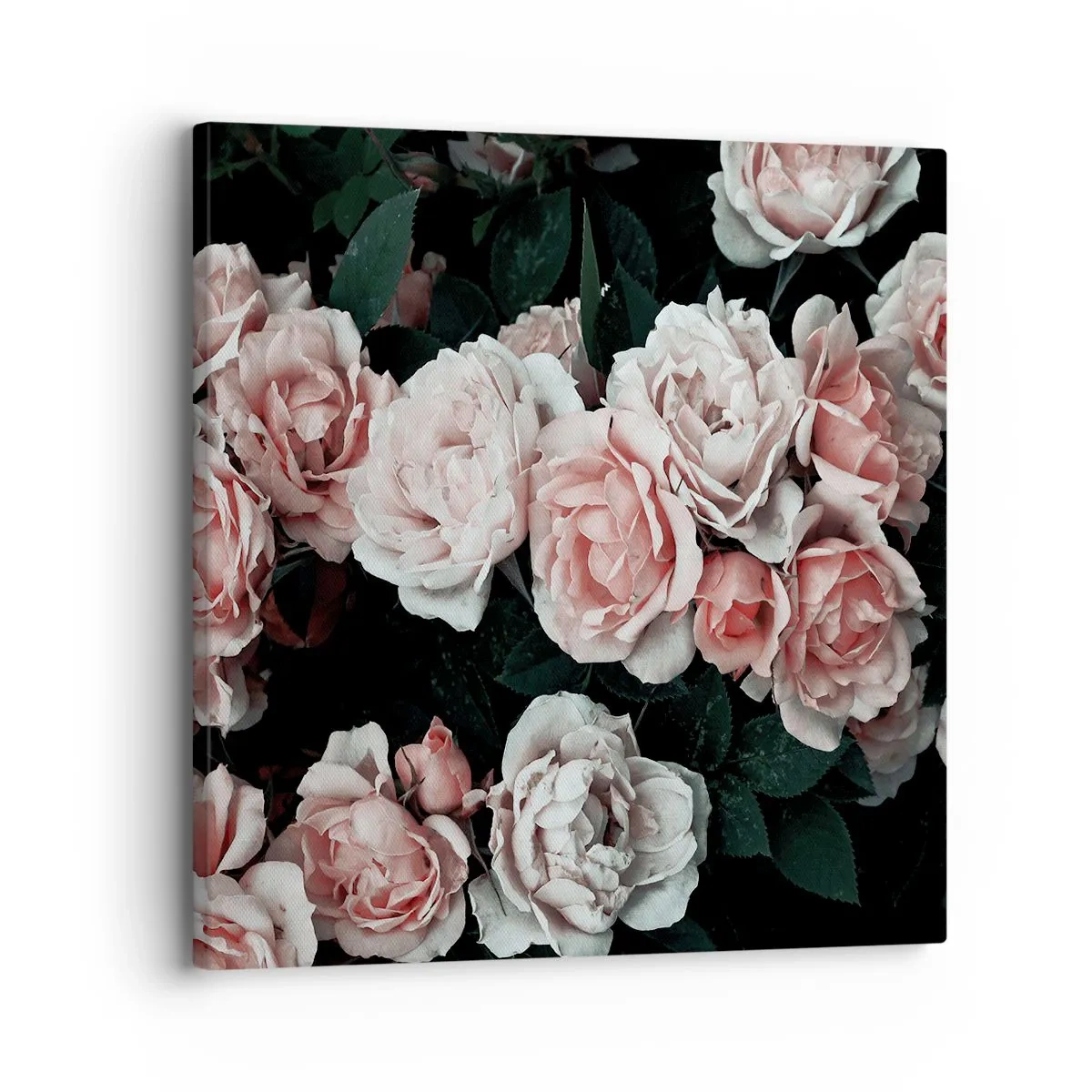 Schilderen op canvas - Rozen ensemble - 30x30 cm