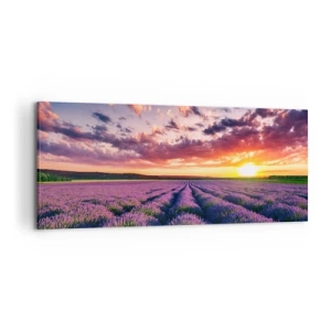 Schilderen op canvas - Lavendel wereld - 120x50 cm