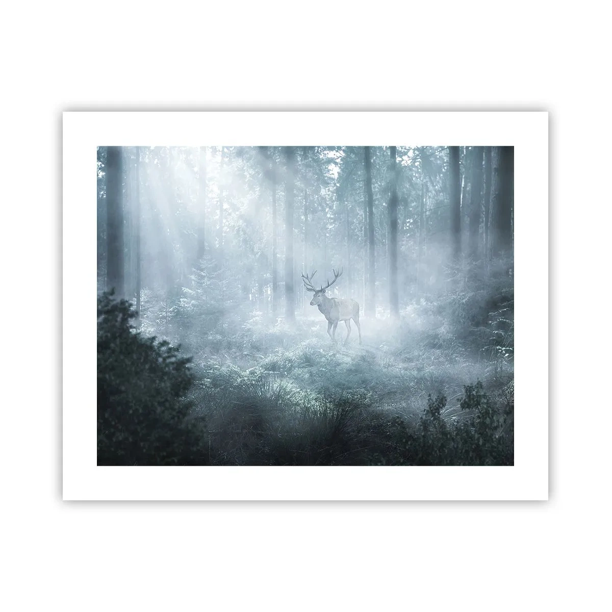 Poster - Ochtendbezoek aan het landgoed - 50x40 cm