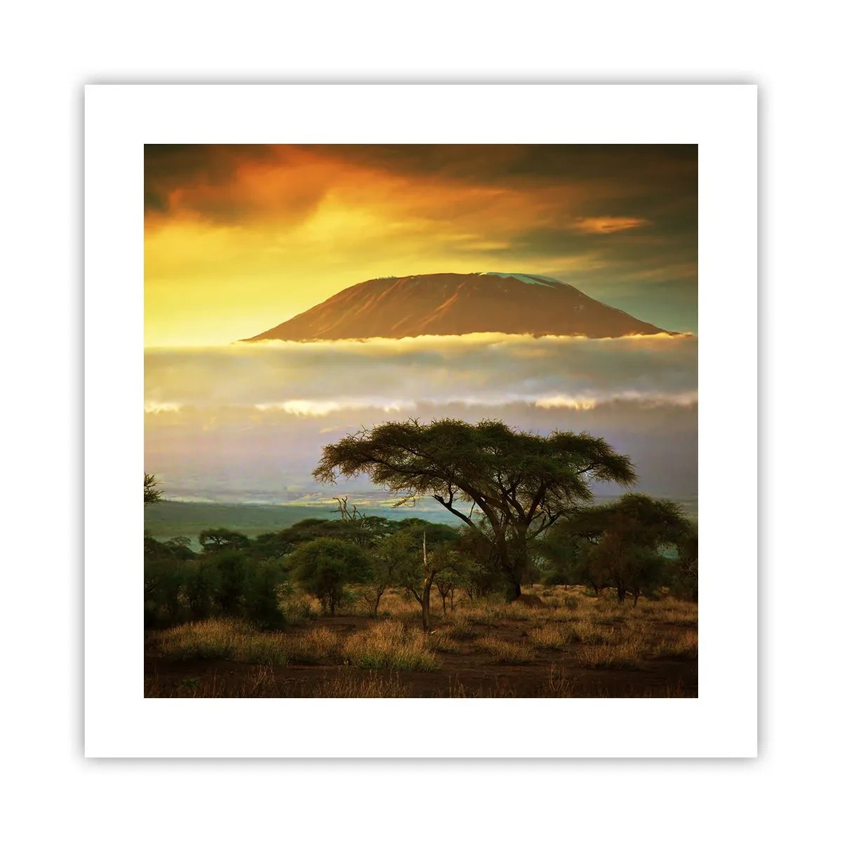 Poster - Een reizigersdroom - 40x40 cm