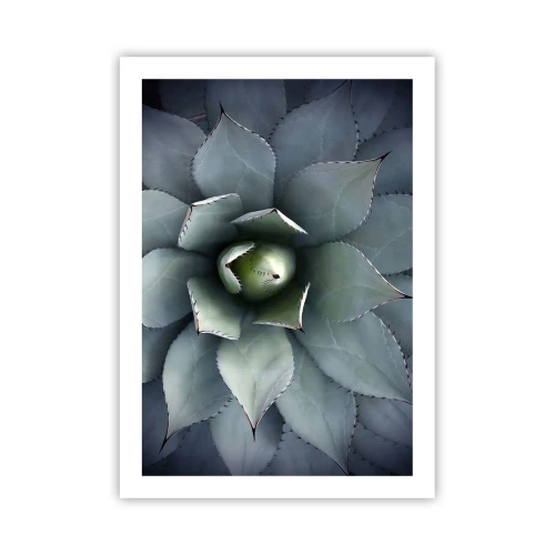 Poster - Het trekt aan en waarschuwt - 50x70 cm