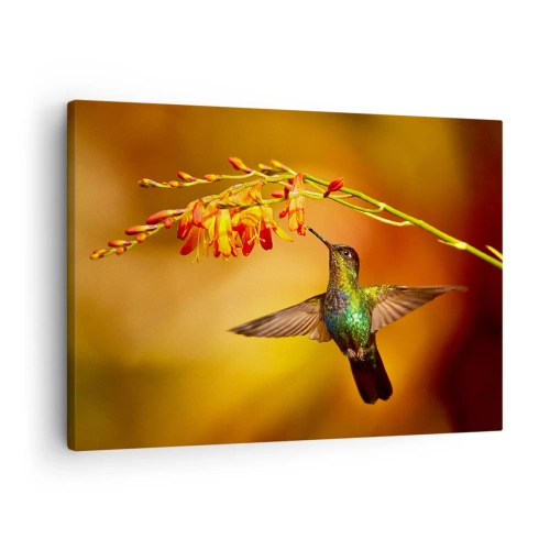 Schilderen op canvas - Kolibrie bij een bloem in het warme licht - 70x50cm - Een boodschapper van licht volgens de Maya - Moderne wanddecoratie voor woonkamer en slaapkamer ARTTOR
