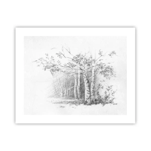 Poster - Het licht van het berkenbos - 50x40 cm