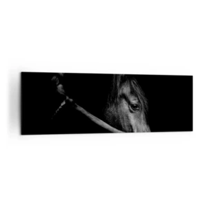 Schilderen op canvas - Zwarte Prins - 160x50 cm