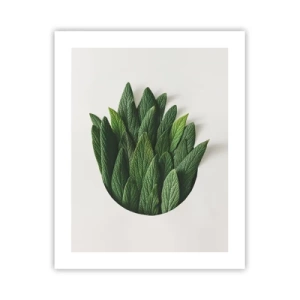 Poster - Ongebreidelde nieuwsgierigheid - 40x50 cm