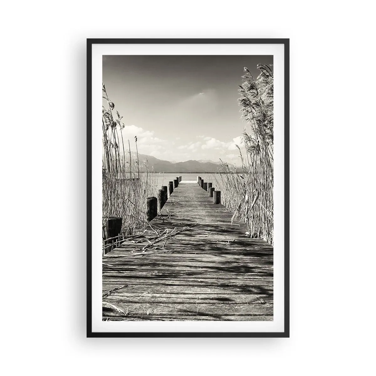Poster in een zwarte lijst - In de stilte van het gras - 61x91 cm