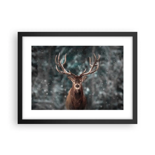 Poster in een zwarte lijst - Gekroond tot koning van het bos - 40x30 cm