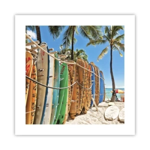 Poster - Zonnig plezier - 40x40 cm