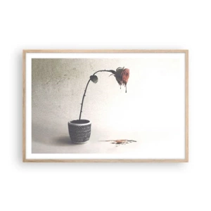 Een poster in een licht eiken lijst - Rosa dolorosa - 91x61 cm