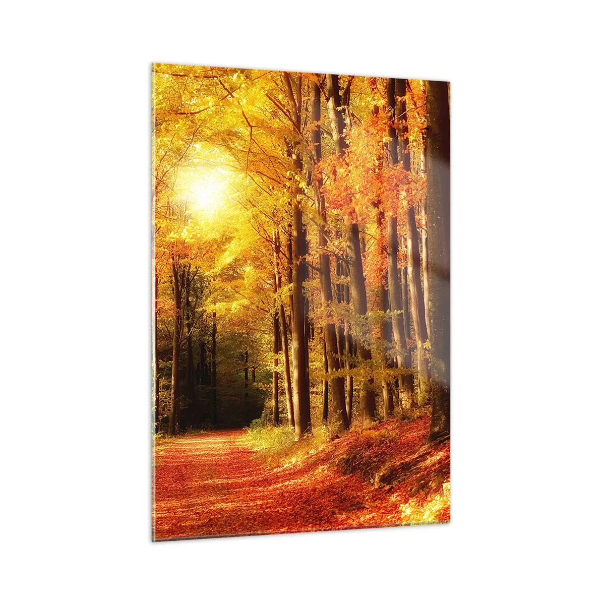 Schilderen op glas - Gouden herfst op een bosweg - 50x70 cm