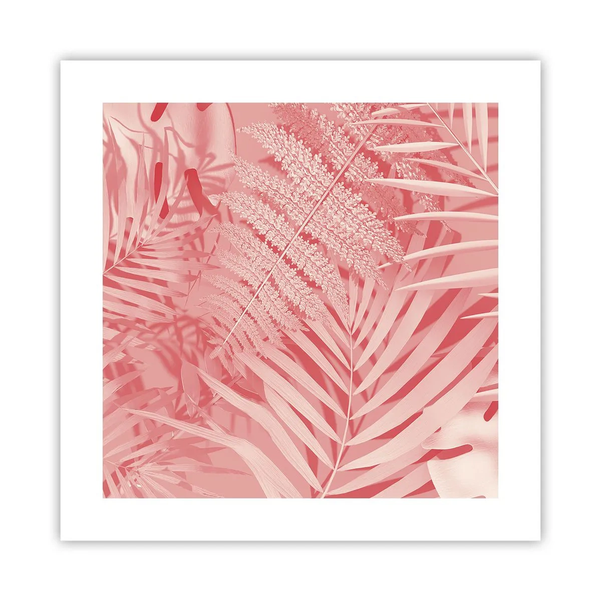 Poster - Roze concept - 40x40 cm