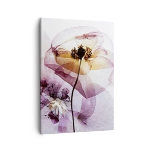 Schilderen op canvas - Transparante lichaamsbloemen - 50x70 cm