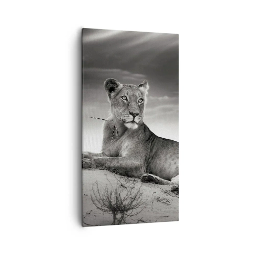 Schilderen op canvas - De koningin van de woestijn rust - 55x100 cm