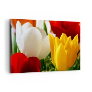 Schilderen op canvas - Tulpenkoorts - 120x80 cm
