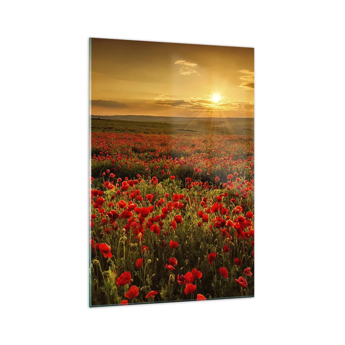 Schilderen op glas - Tussen de golven van ruisende weiden, tussen de bloemen van de vloed - 70x100 cm