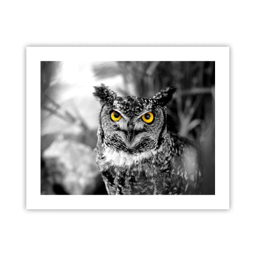 Poster - Niets zal zich verbergen - 50x40 cm