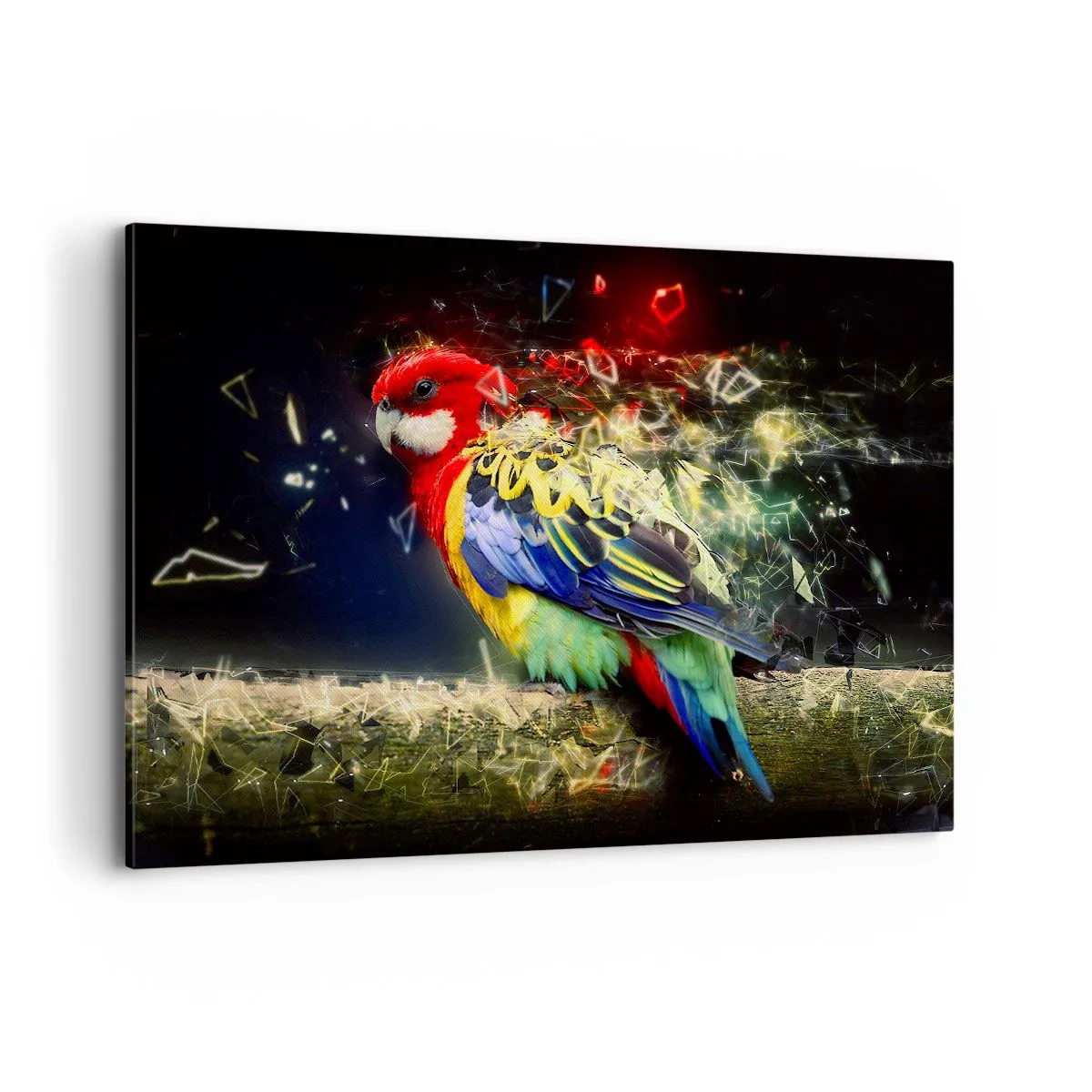 Schilderen op canvas - Boodschapper van uitstraling - 120x80 cm