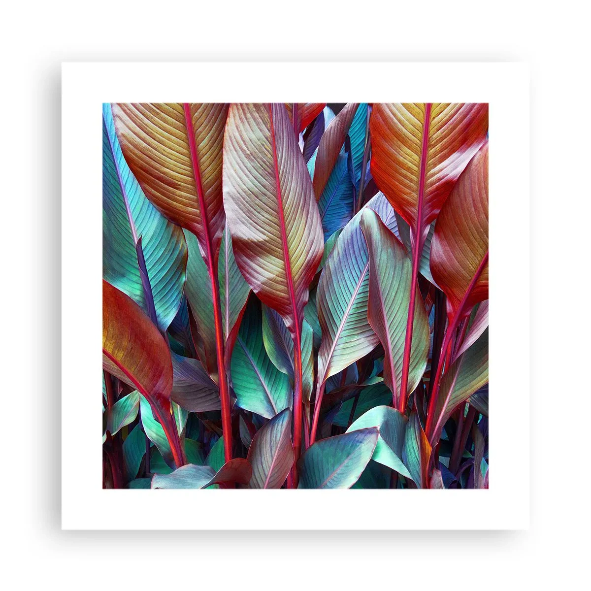 Poster - Een kleurrijk struikgewas - 40x40 cm