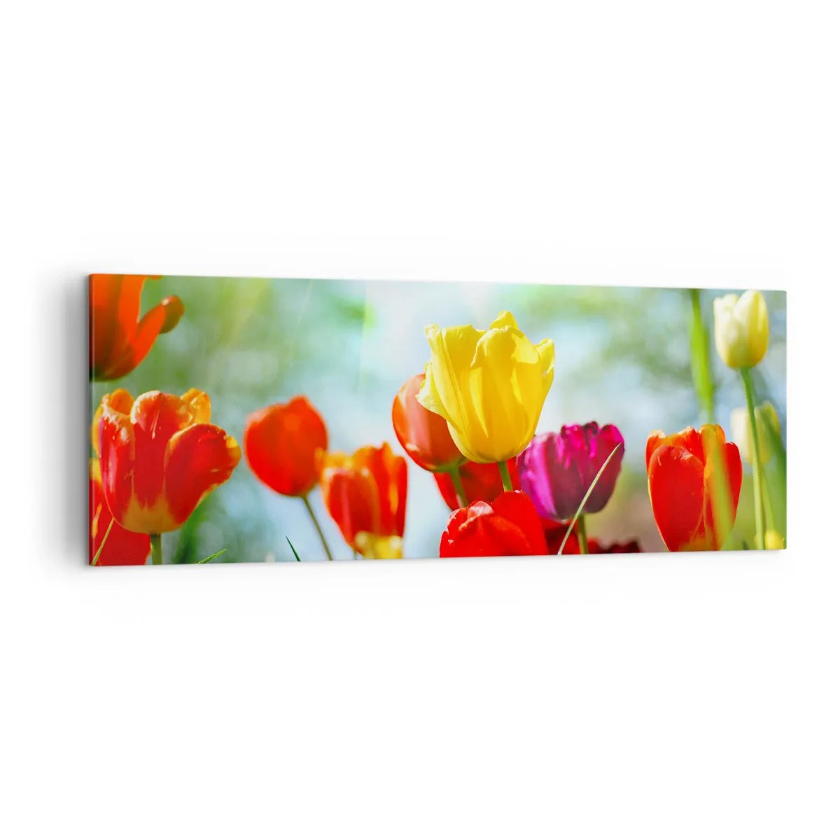 Schilderen op canvas - Alle kleuren van de zon - 140x50 cm