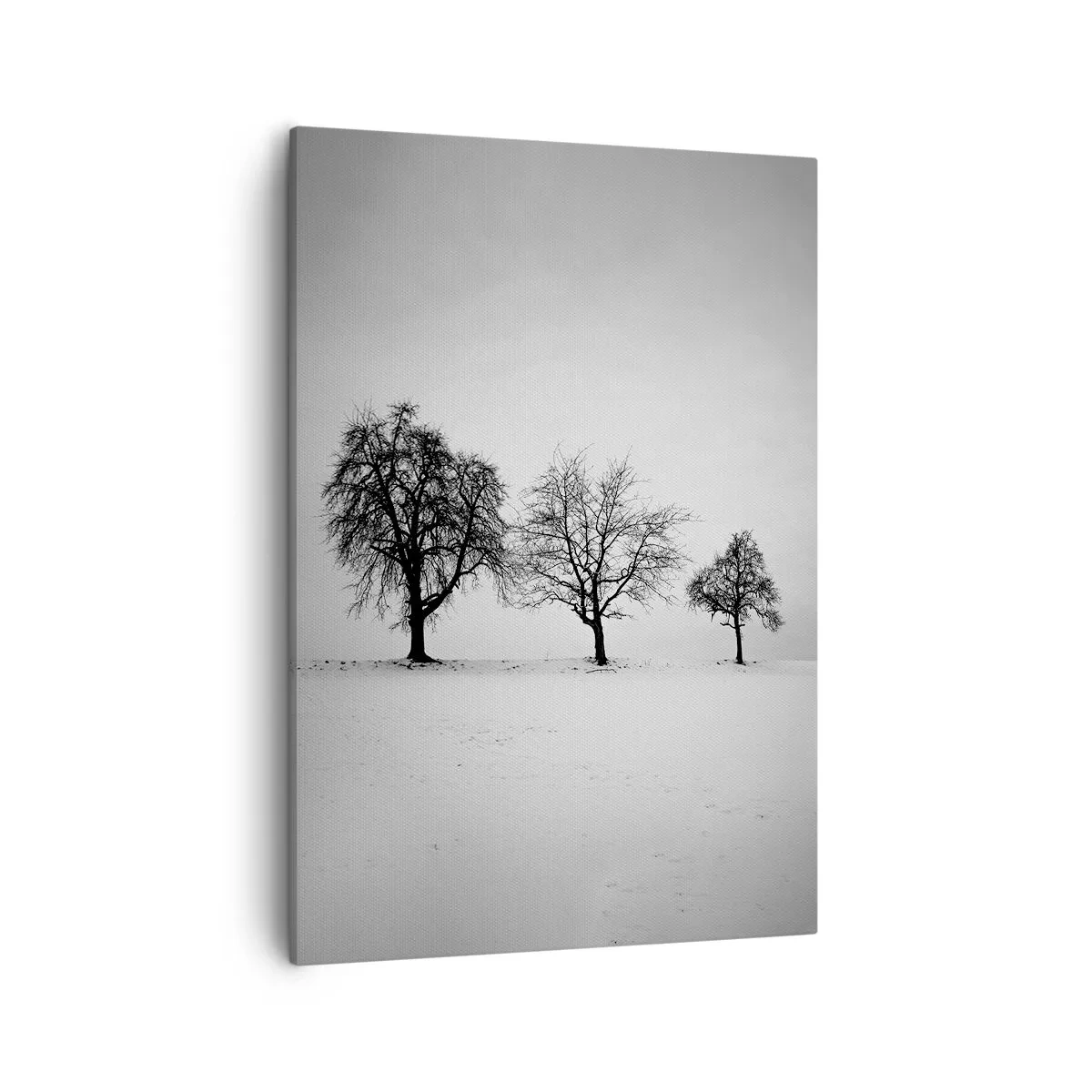 Schilderen op canvas - Waar dromen ze over? - 50x70 cm