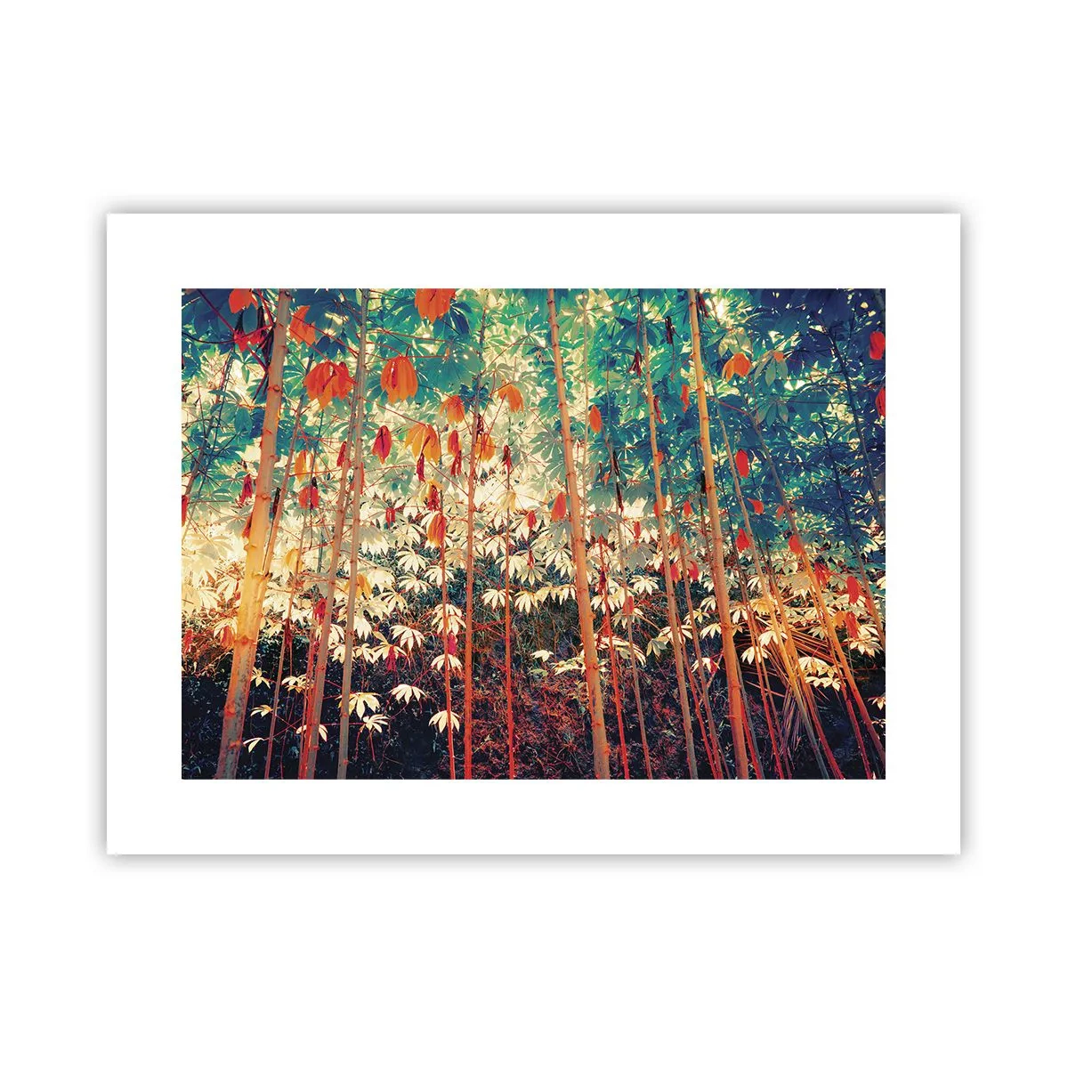 Poster - Het geheime leven van de bladeren - 40x30 cm