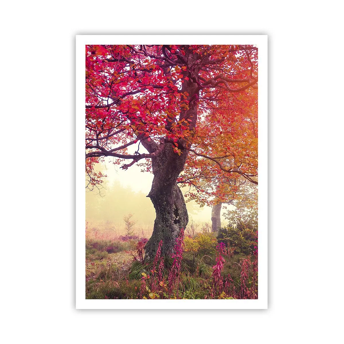 Poster - Bloeiende razernij - 70x100 cm