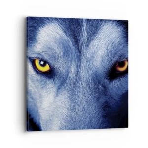 Schilderen op canvas - Betoverende look - 40x40 cm