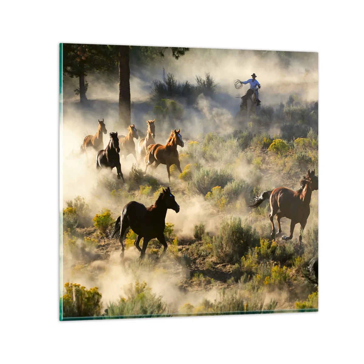 Schilderen op glas - Rivaliteit - vrijheid of mannelijke kracht? - 70x70 cm