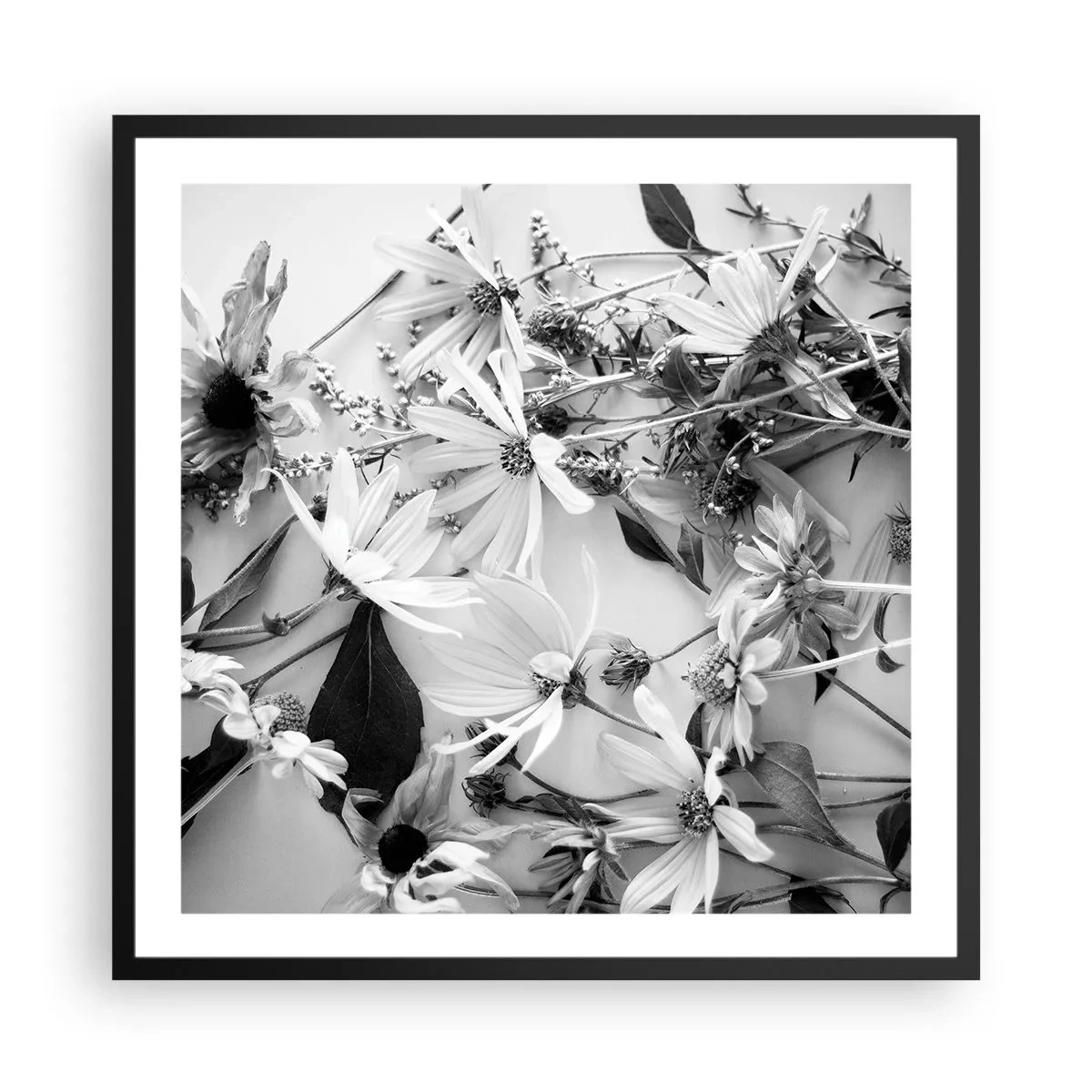 Poster in een zwarte lijst - Niet-boeket bloemen - 60x60 cm