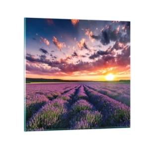 Schilderen op glas - Lavendel wereld - 60x60 cm