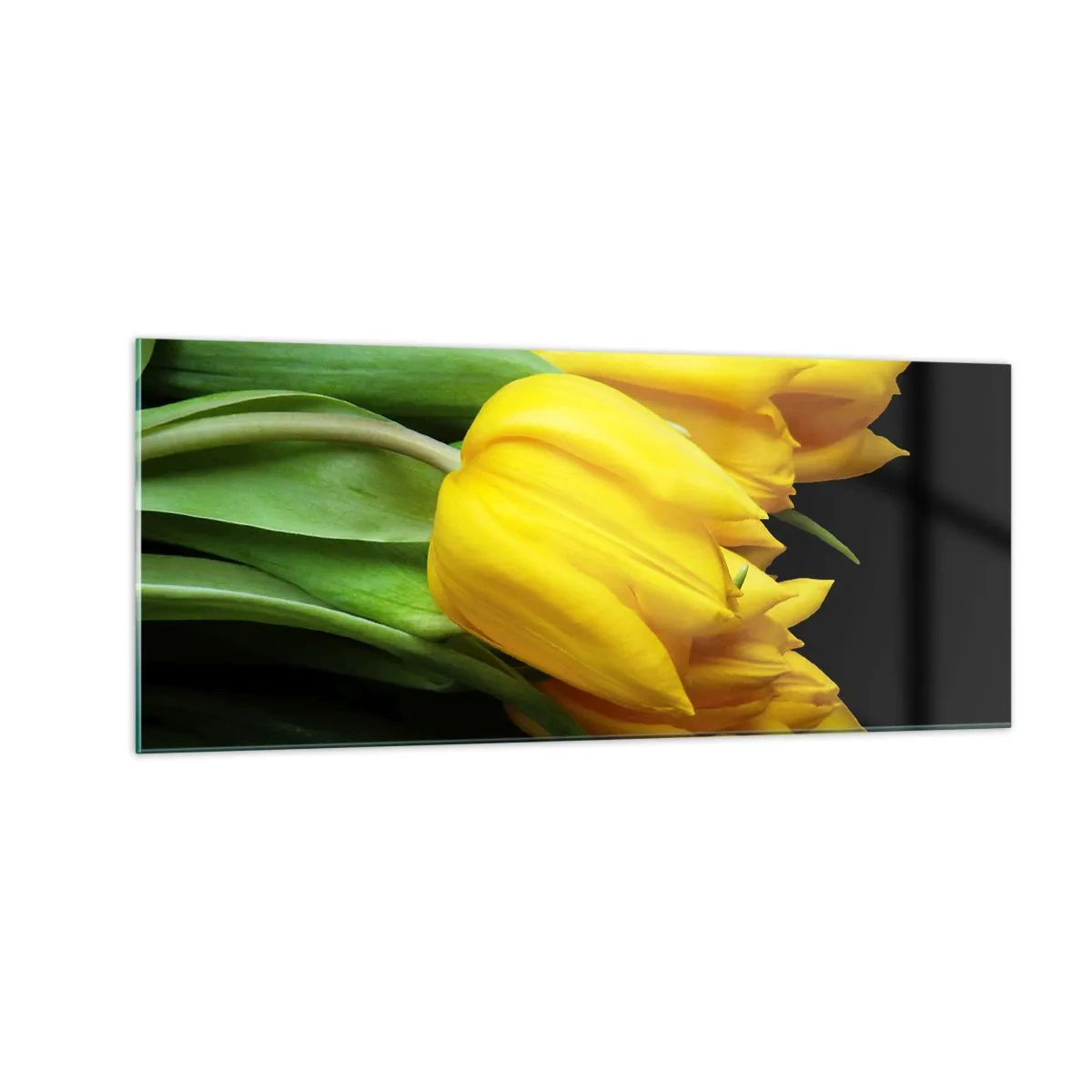 Schilderen op glas - Gemaakt van heldere zon - 100x40 cm