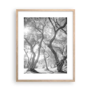 Een poster in een licht eiken lijst - In de olijfboomgaard - 40x50 cm