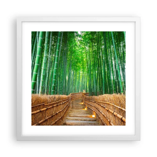 Poster in een witte lijst - De essentie van de aziatische natuur - 40x40 cm