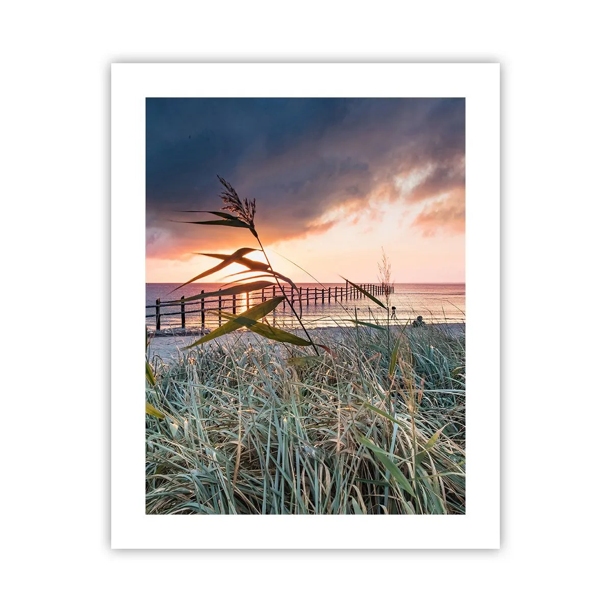Poster - Het gaat niet met de wind mee - 40x50 cm