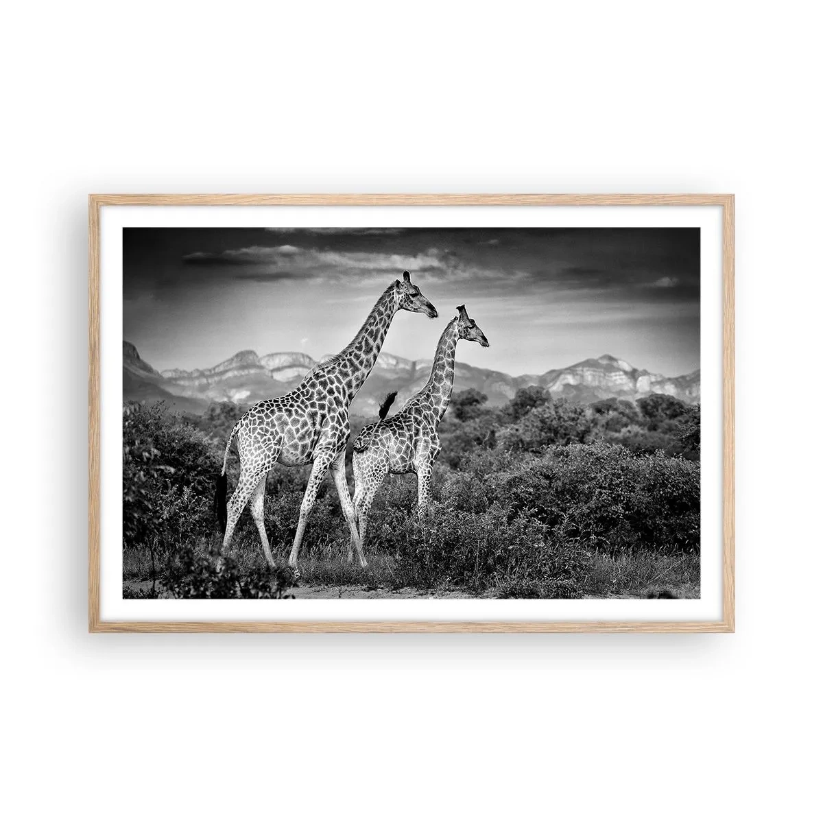 Een poster in een licht eiken lijst - Hoge sferen in Afrika - 91x61 cm