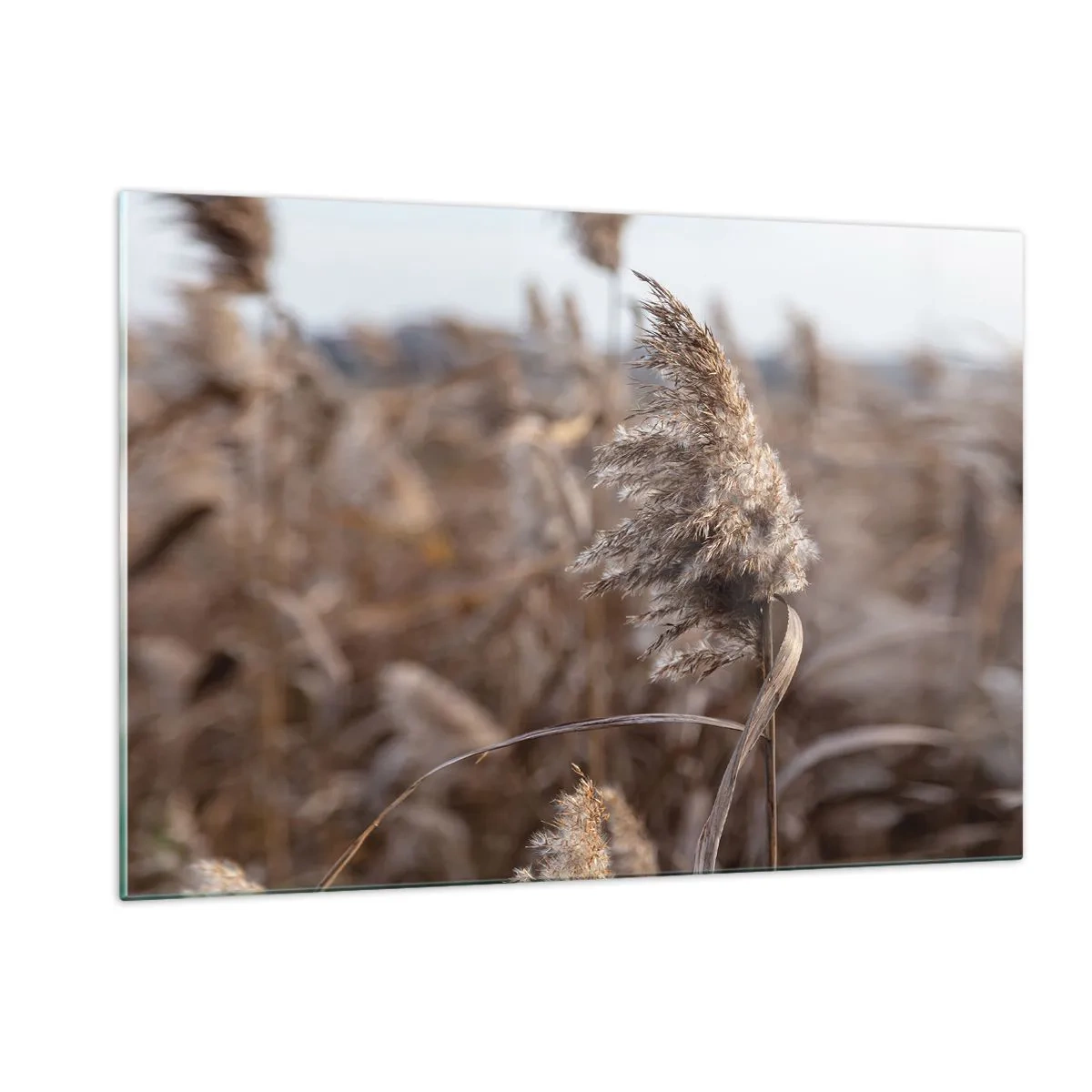 Schilderen op glas - Tijd om met de wind mee te gaan - 120x80 cm