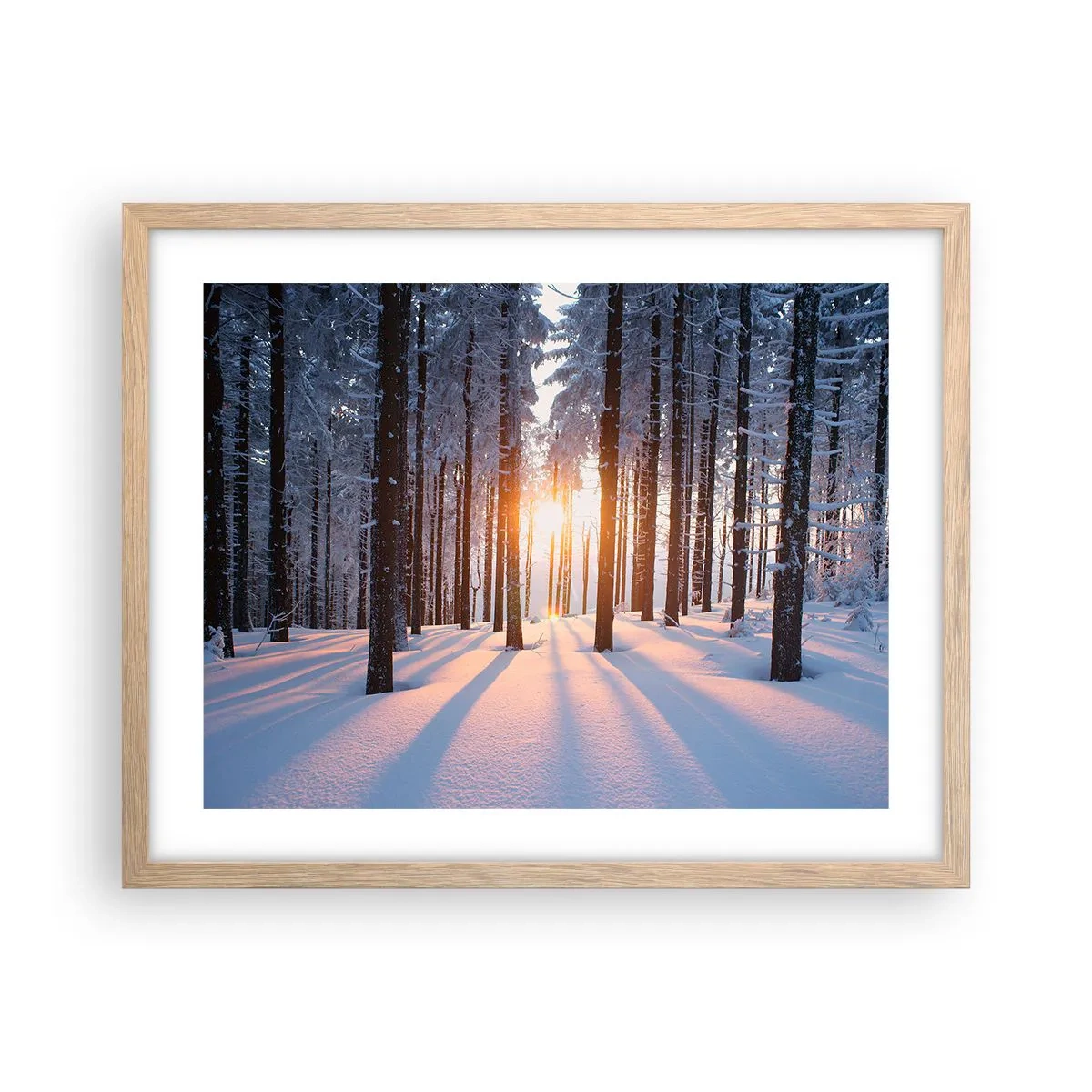 Een poster in een licht eiken lijst - Duidelijk in zwart-wit - 50x40 cm
