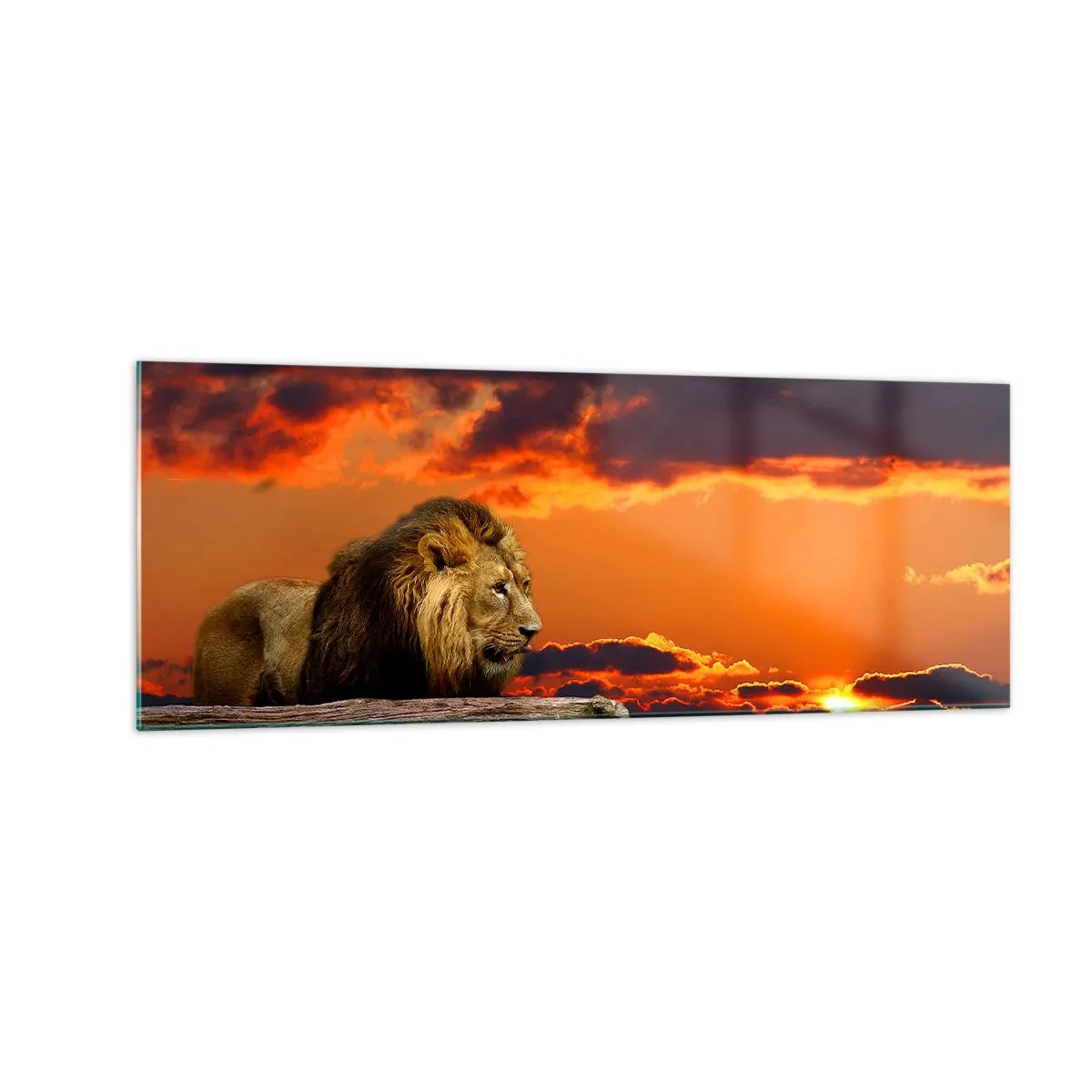 Schilderen op glas - Koning van de natuur - 140x50 cm