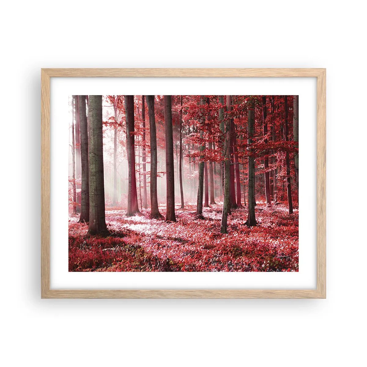 Een poster in een licht eiken lijst - Rood is net zo mooi - 50x40 cm