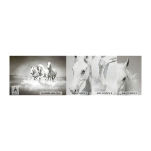 Fotobehang Monster Premium Canvas - Witte waanzin - Dieren, Paarden, Natuur - 100x30 cm